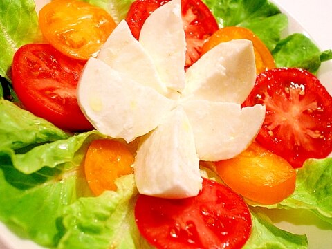 【簡単贅沢サラダ】絶品ブッファラのトマトサラダ